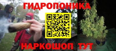 спайс Гусев